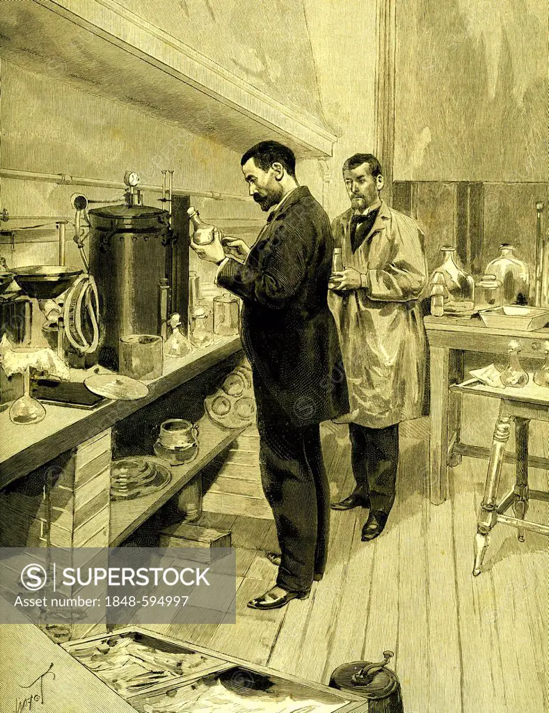 Men in a laboratory extracting croup vaccine from horse blood, historical illustration, 1896