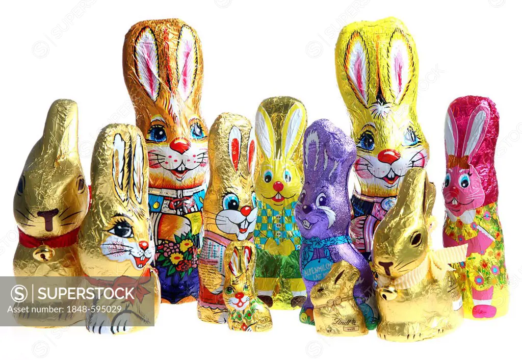 Different kinds of chocolate Easter bunnies