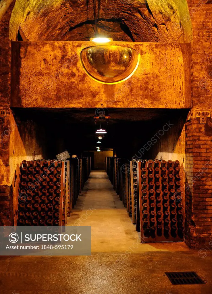 Champagne bottles are stored upside down for the deposition of sediments, wine cellar in limestone, Moet et Chandon winery, LVMH luxury goods group, L...