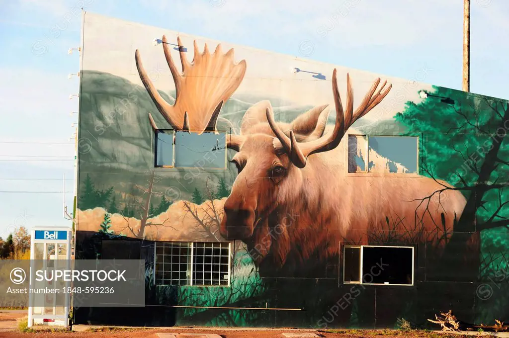 Moose, typical Canadian mural, Ontario, Canada