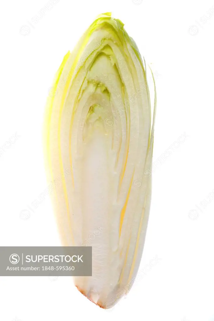 Chicory (Cichorium intybus var. foliosum), sliced