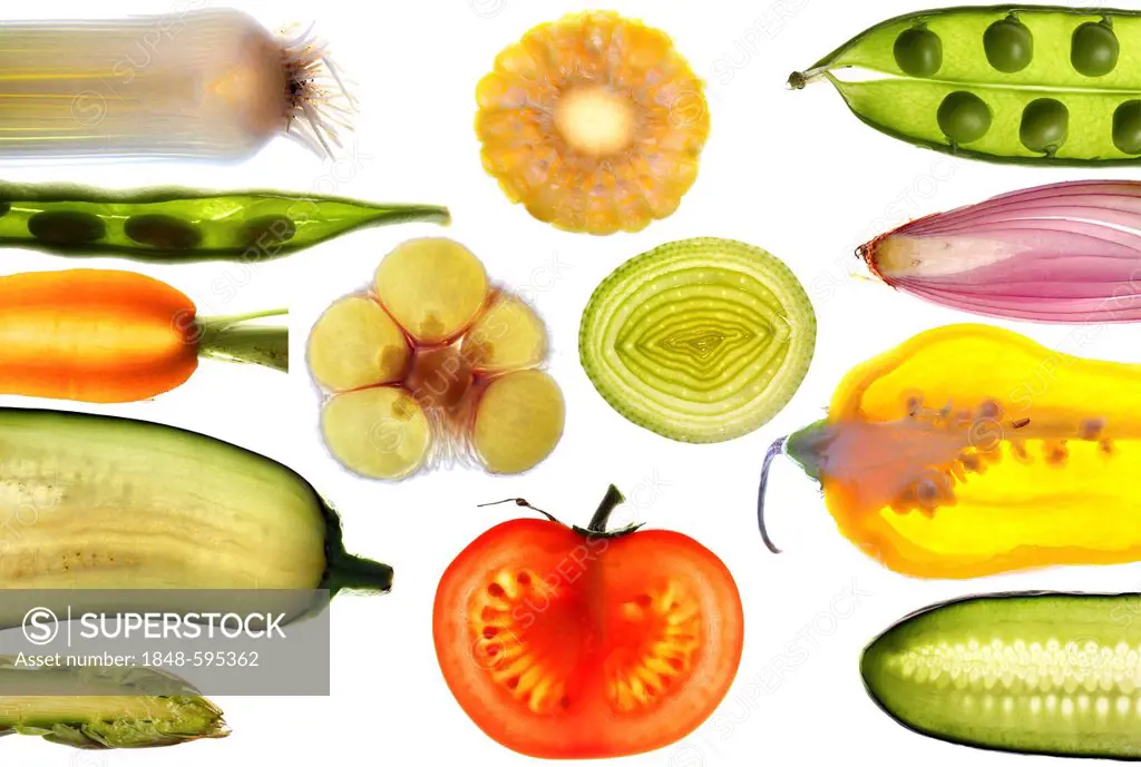 Various fresh vegetables, cross-sections and slices