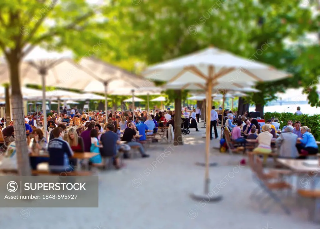 Gerbermuehle, a Frankfurt apple wine pub and beer garden alongside the Main River, tilt-shift effect to give the impression of a miniature model due t...