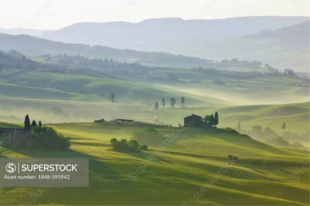 Meadows and fields in the morning light, Pienza, Val d'Orcia, Tuscany, Italy, Europe, PublicGround