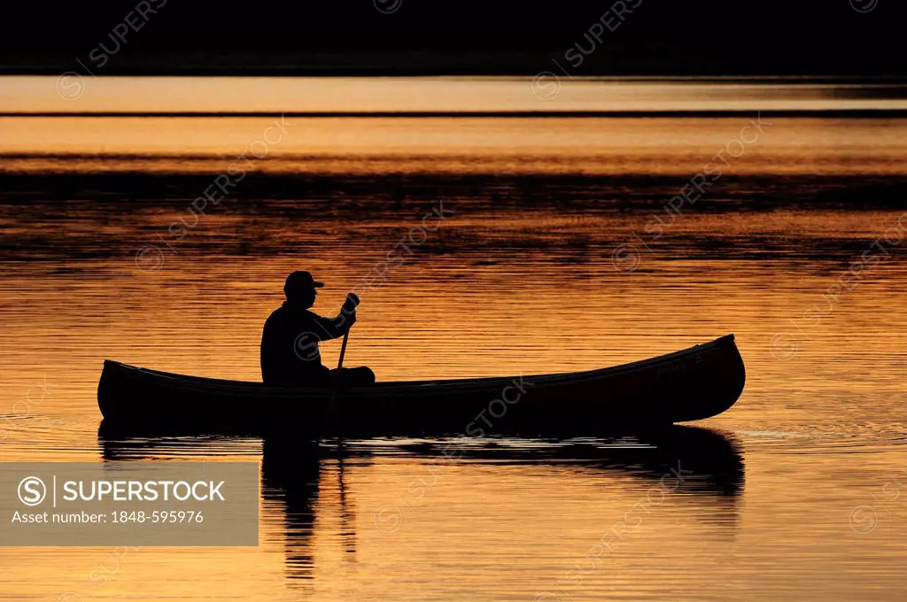 Paddling a canoe on a lake in the evening light, Algonquin Provincial Park, Ontario, Canada