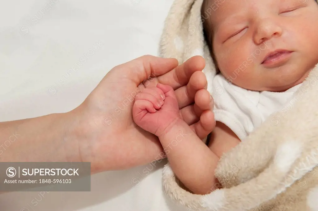 Mother's hand holding little hand of newborn baby