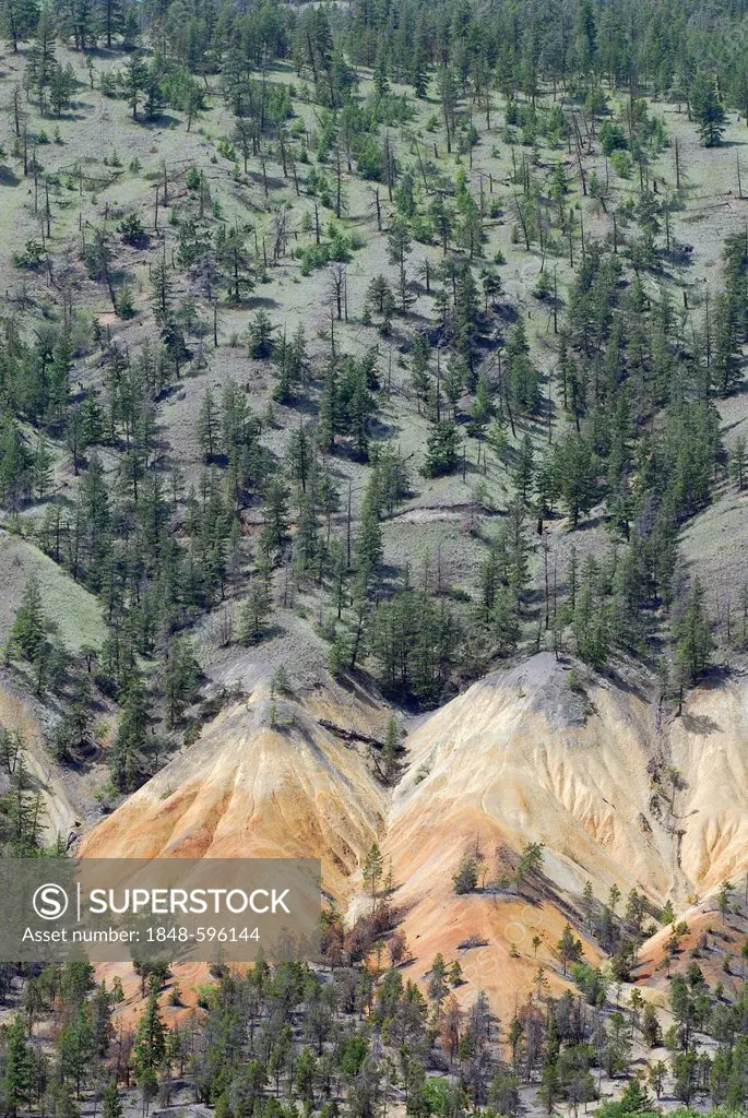 Dry mountain slopes in Cache Creek, British Columbia, Canada, North America