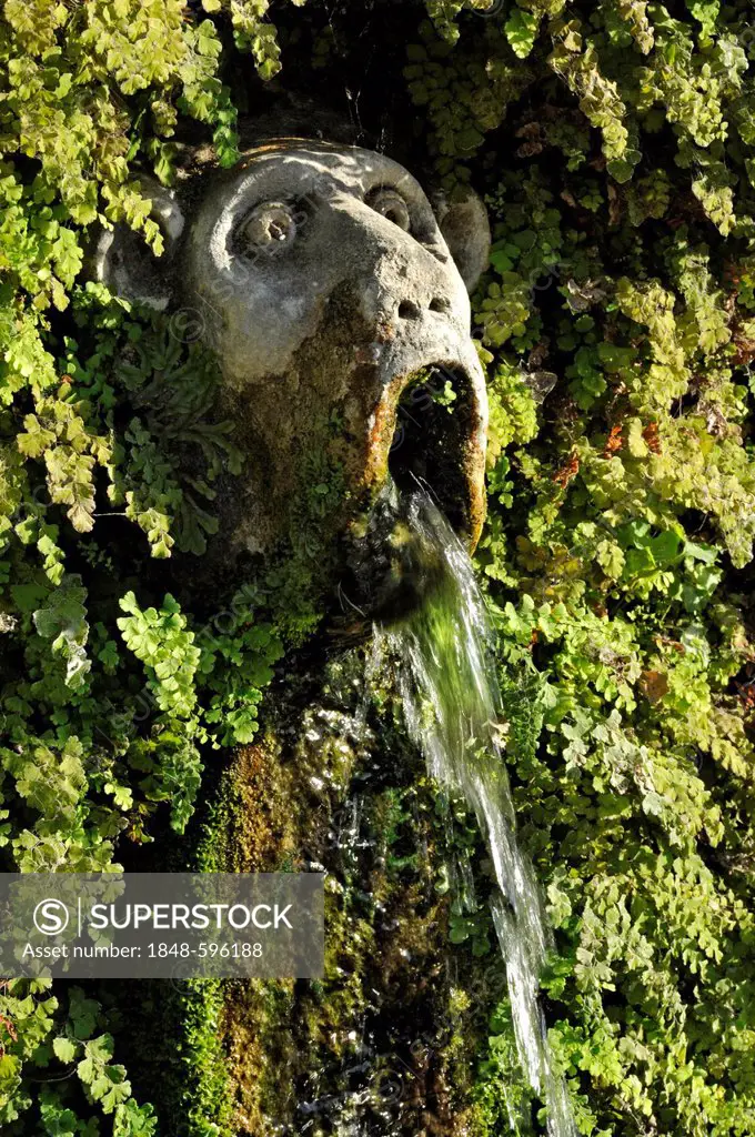 Gargoyle, Viale delle Cento Fontane or Alley of the Hundred Fountains, Garden of the Villa d'Este, UNESCO World Heritage Site, Tivoli, Lazio, Italy, E...