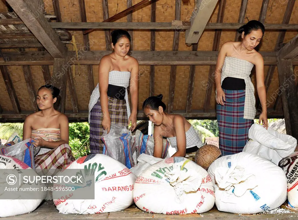 Women sorting bags of rice, Tenganan, Bali, Indonesia, Southeast Asia