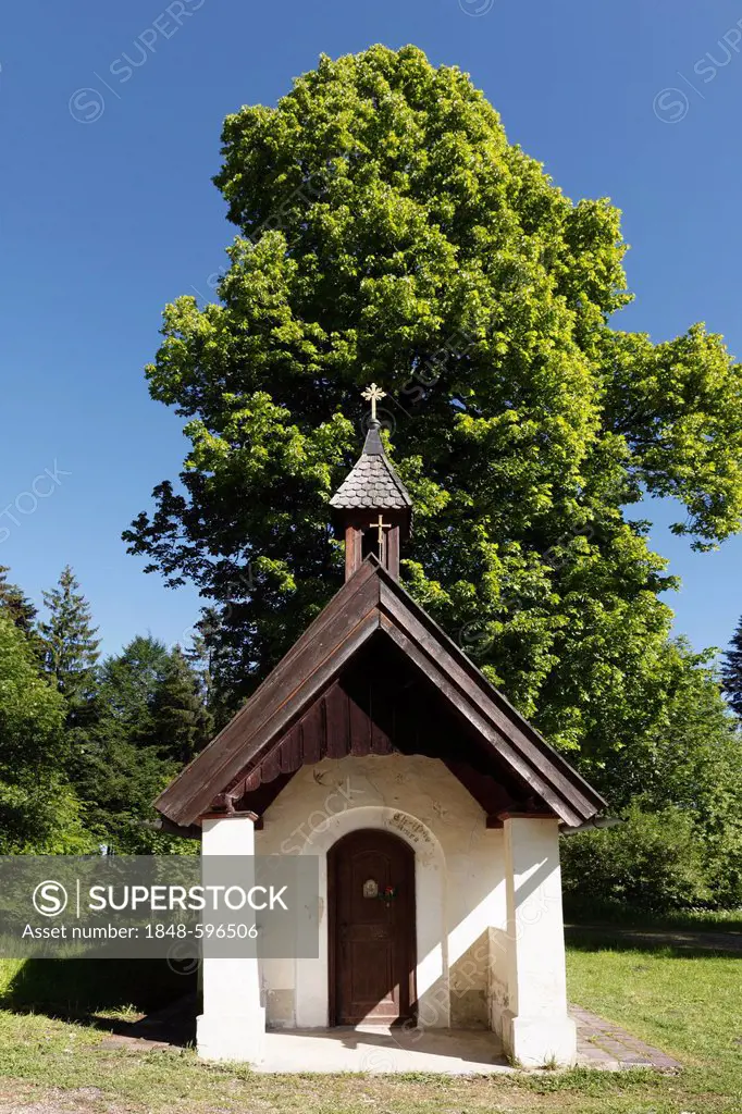 Chapel on Taubenberg Mountain, Warngau, Upper Bavaria, Bavaria, Germany, Europe, PublicGround