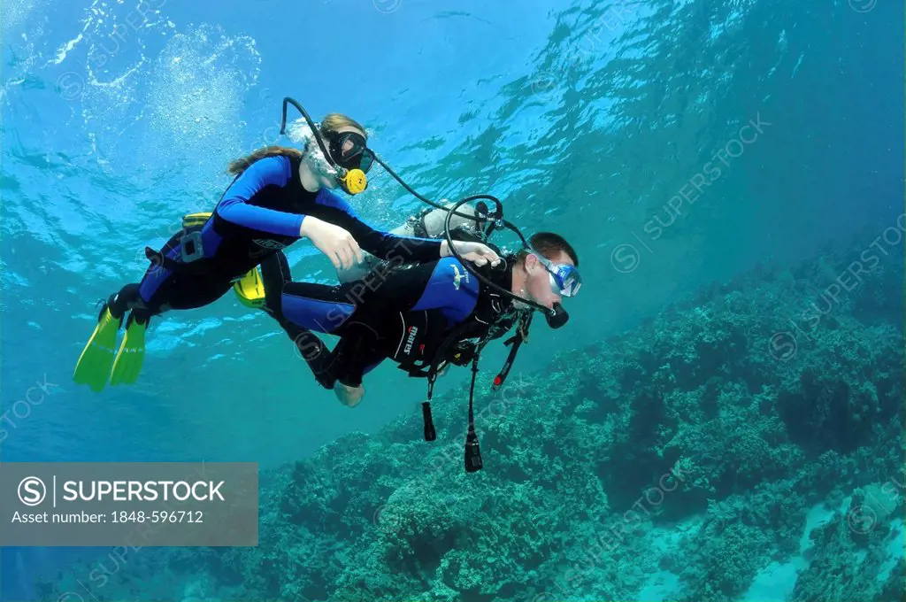 Diver, diving girl, at coral reef, Red Sea, Egypt, Africa