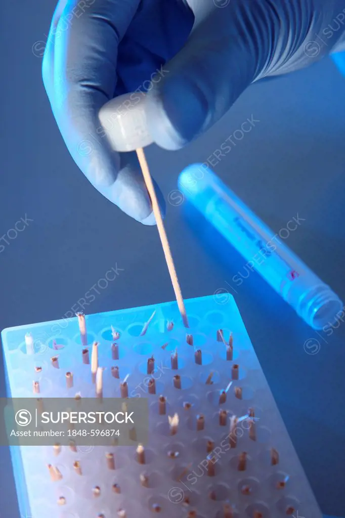 Kriminaltechnisches Institut, KTI, Forensic Science Institute, DNA analysis, DNA screening, trace carriers are examined for DNA evidence, police, Land...