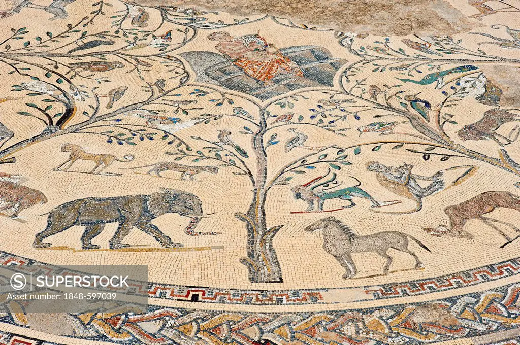 Ancient floor mosaic depicting Orpheus surrounded by animals, Roman ruins, ancient residential city of Volubilis, northern Morocco, Africa