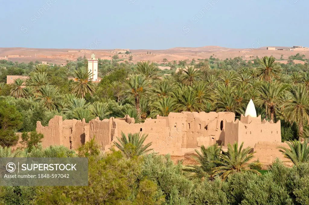 Marabout or tomb of an Islamic saint, and crumbling adobe houses in a palm grove near Skoura, behind the minaret of a mosque, Lower Dades Valley, Kasb...
