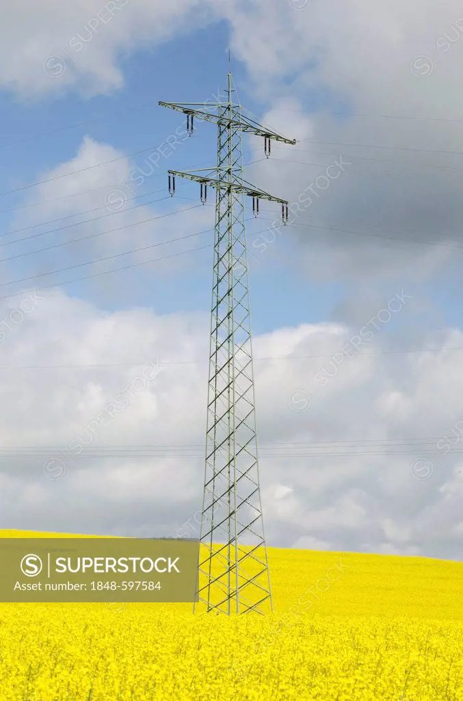 Power pole on a field of rape, Baden-Wuerttemberg, Germany, Europe