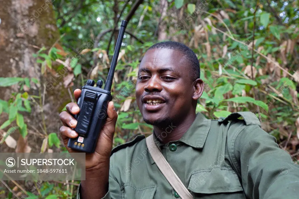 Park Ranger in the rainforest of Mahale Mountains National Park, Tanzania, East Africa, Africa