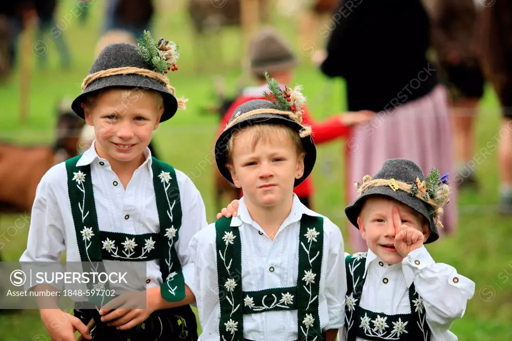 Three boys wearing traditional costume during Viehscheid, separating the cattle after their return from the Alps, Thalkirchdorf, Oberstaufen, Bavaria,...