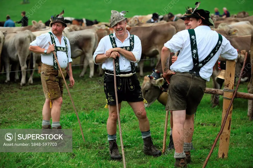 Cowherds, men wearing traditional costume during Viehscheid, separating the cattle after their return from the Alps, Thalkirchdorf, Oberstaufen, Bavar...