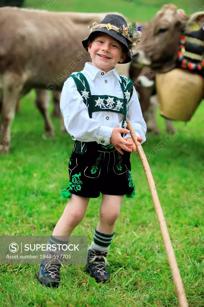 Boy wearing traditional costume during Viehscheid, separating the cattle after their return from the Alps, Thalkirchdorf, Oberstaufen, Bavaria, German...