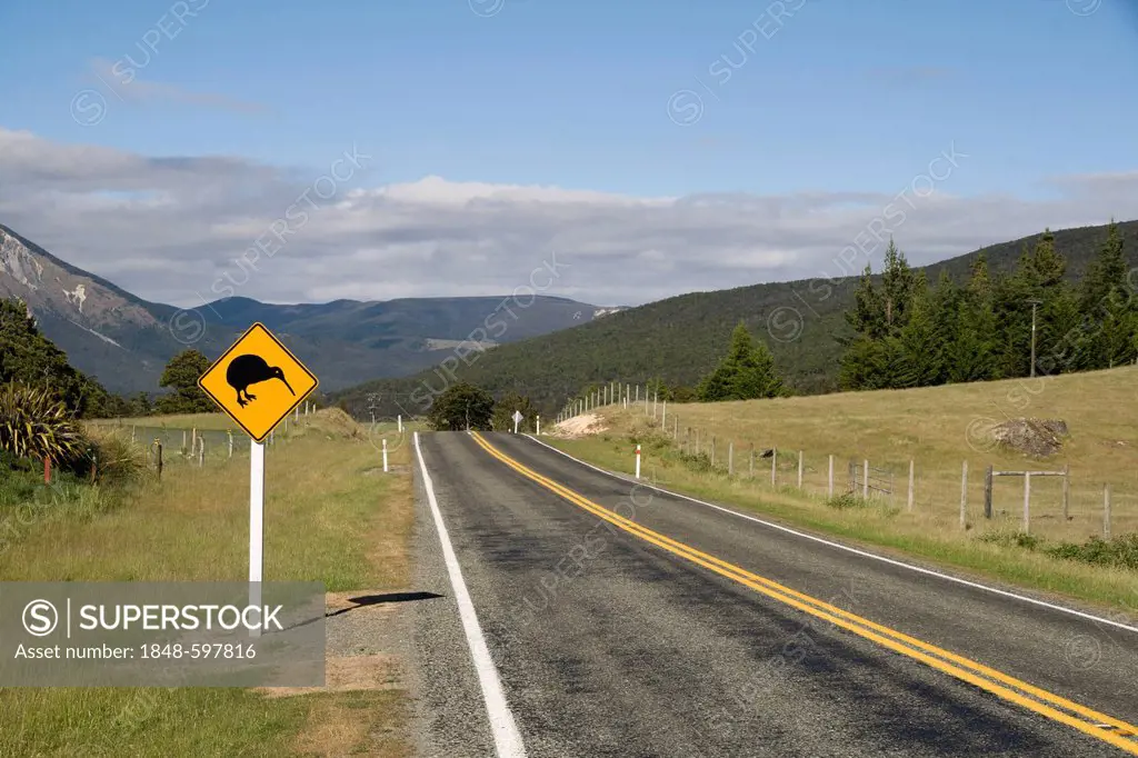 A road sign to warn of kiwis, South Island, New Zealand