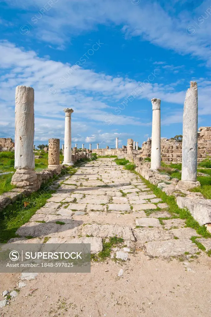 Roman archaeological site of Salamis, Turkish part of Cyprus