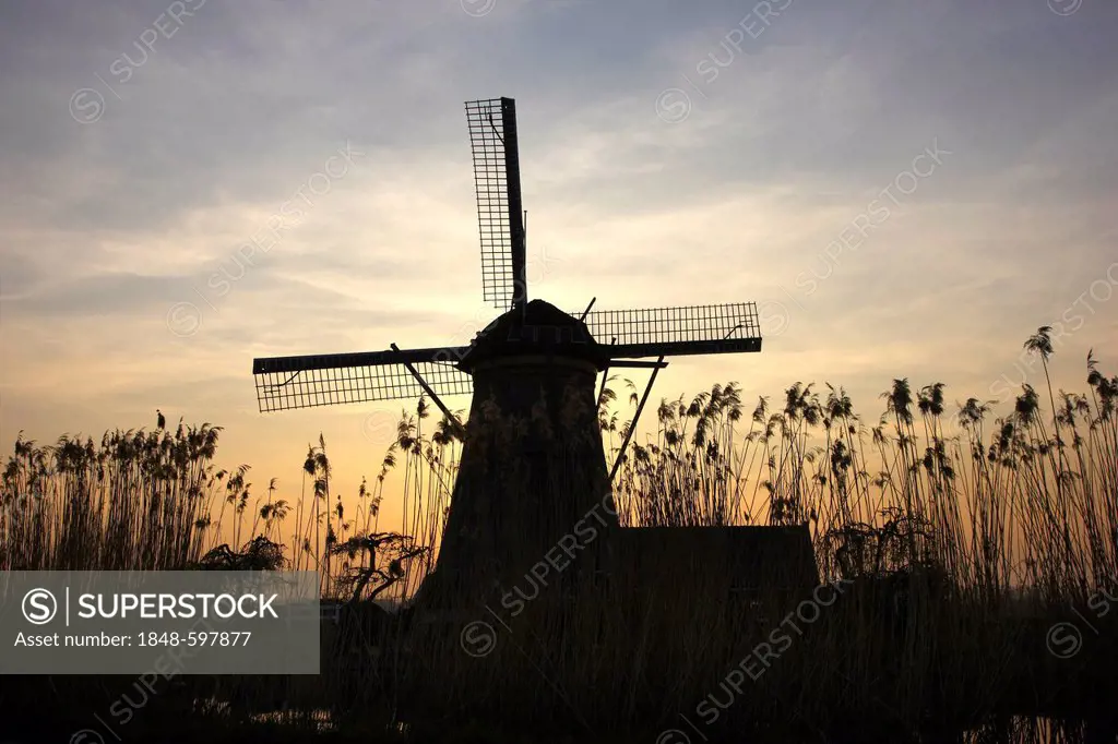 Historic windmill, UNESCO World Heritage Site, Kinderdijk, South Holland, Netherlands, Europe