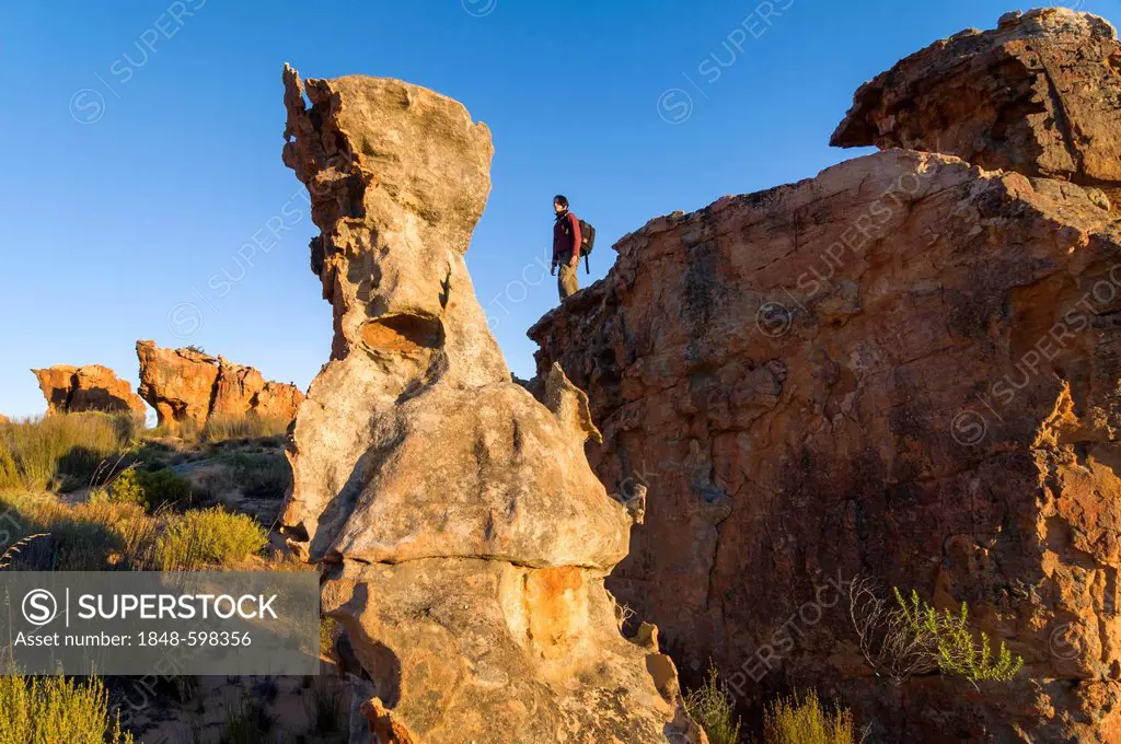 Woman standing on rocks, rock formations, Cederberg mountains, Western Cape, South Africa, Africa