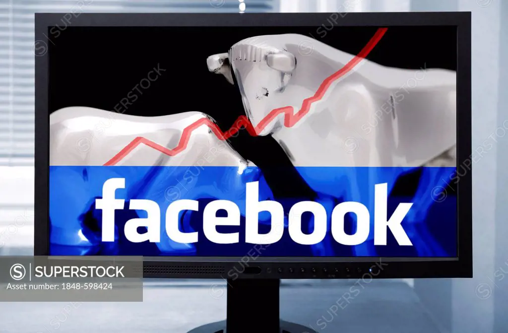 Computer monitor with bull and bear and Facebook logo, symbolic image for the Facebook IPO