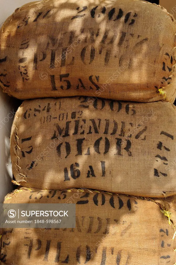 Bags of coffee beans at a coffee roasters, Dominican Republic, Caribbean