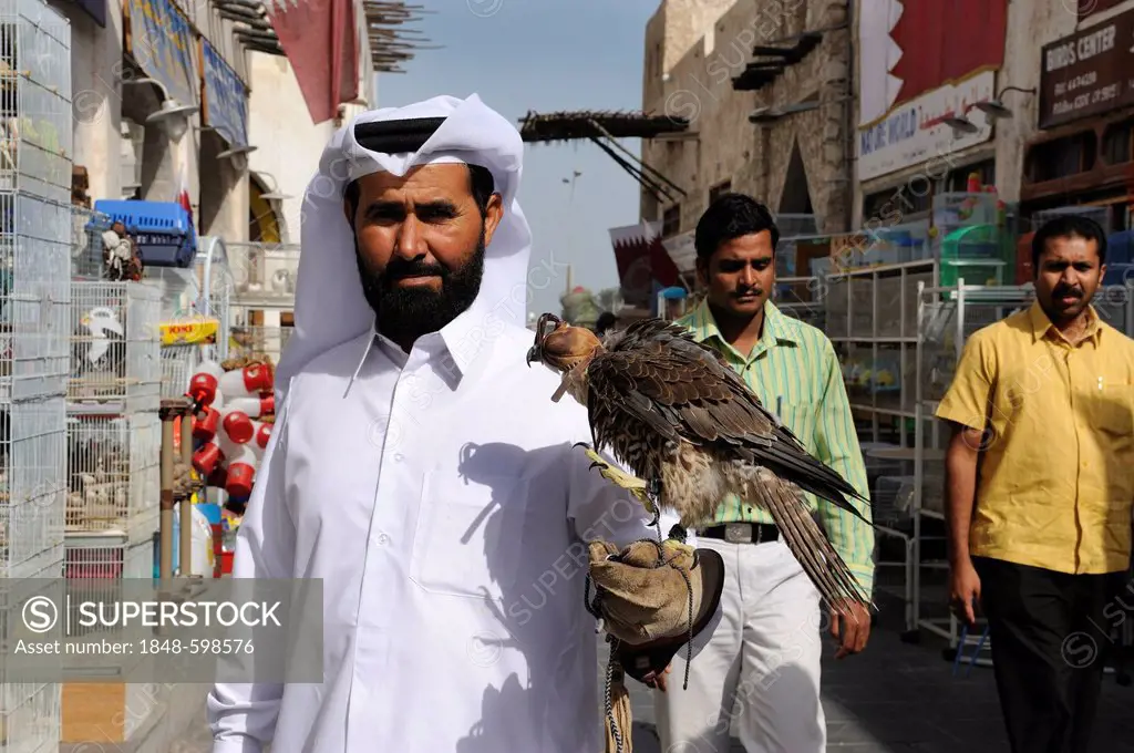 Man carrying a hunting falcon on his arm, animal market in Souq al Waqif, the oldest souq or bazaar in the country, Doha, Qatar, Arabian Peninsula, Pe...