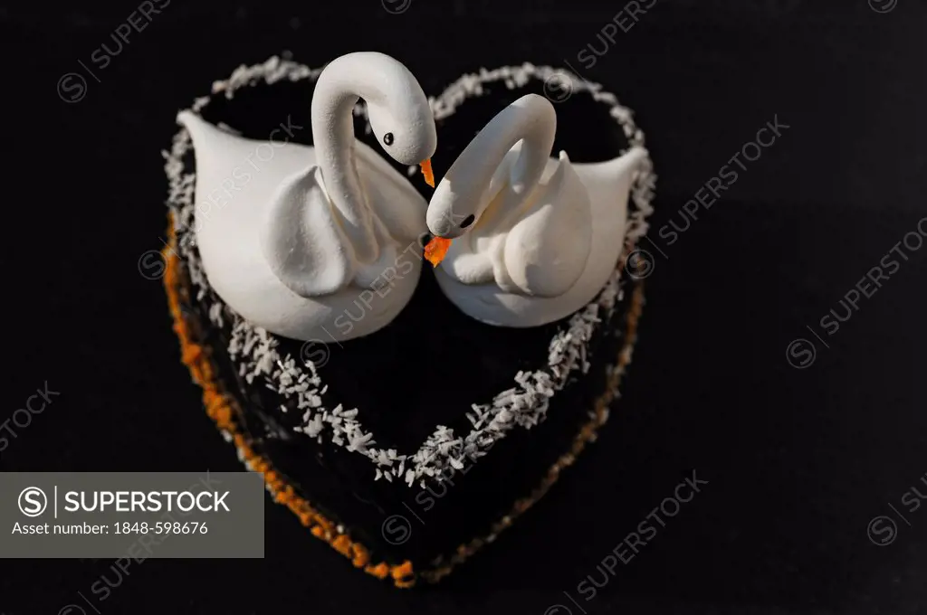 Two meringue swans on a chocolate heart, beaks made from apricots, on a slate in a patisserie