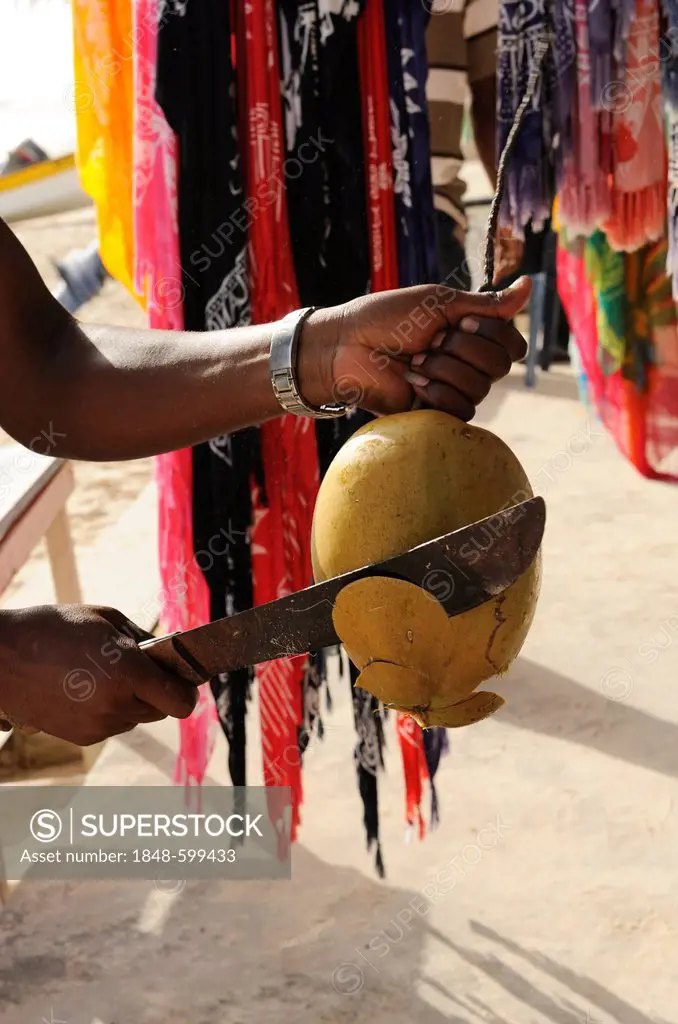 Man cutting open a coconut with a machete, Punta Cana, Dominican Republic, Caribbean