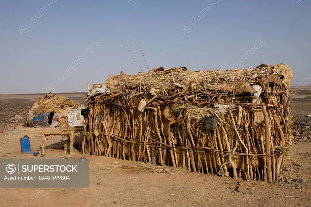 Hut in the Afar village of Hamed Ale, Danakil Depression, Ethiopia, Africa