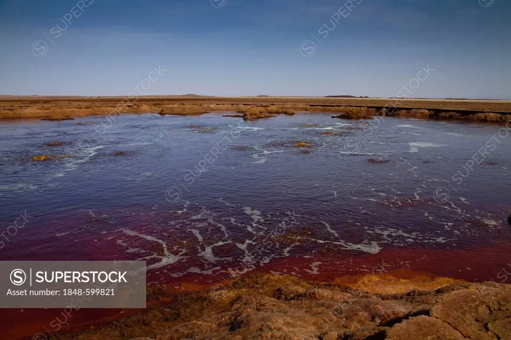 Sulphur hot spring, bubbling pools, Dallol, Danakil Depression, Ethiopia, Africa