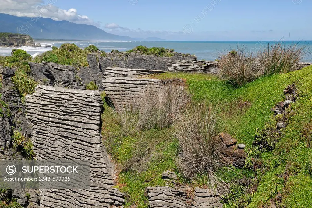 Pancake Rocks, Paparoa National Park, West Coast, South Island, New Zealand, Tasman Sea