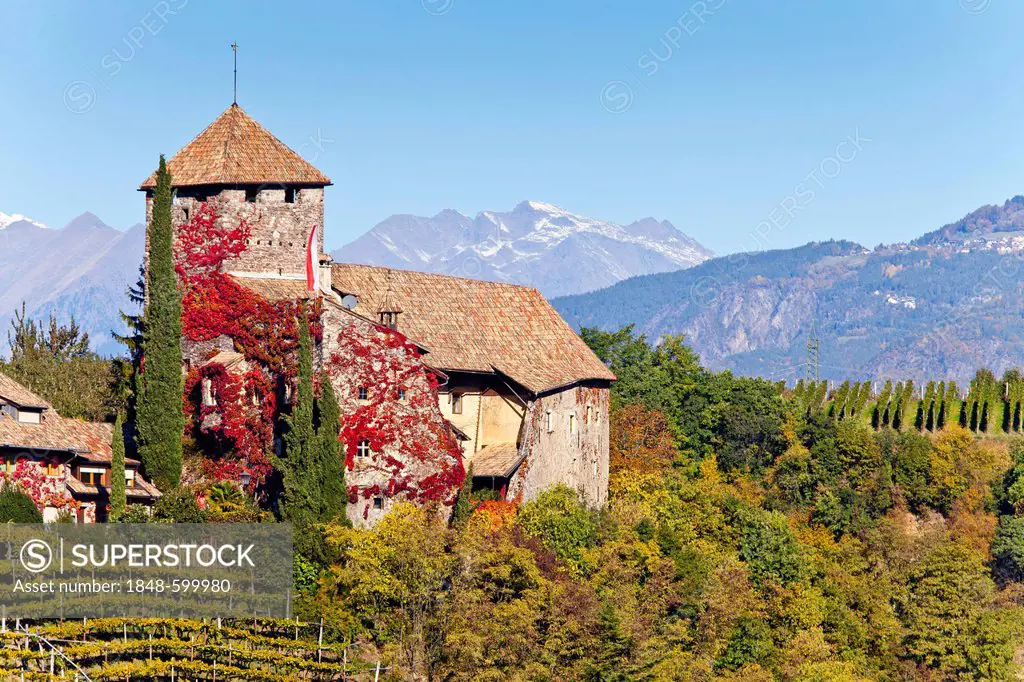 Warth Castle in front of the Texel Group Mountains, Appiano on the Wine Route, Alto Adige, Italy, Europe