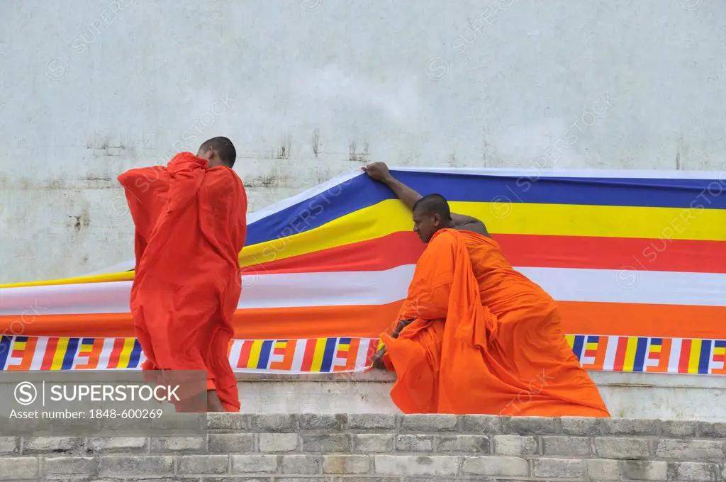 Puja, a 300m long Buddhist flag is being placed around the Ruvanveli Seya Dagoba, Anuradhapura, Unesco World Heritage site, Sri Lanka, Ceylon, South A...