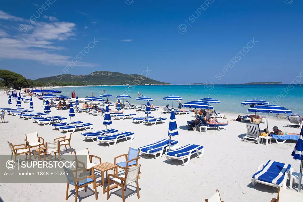 Palombaggia beach, south-east coast, mediterranean sea, Corsica, France, Europe
