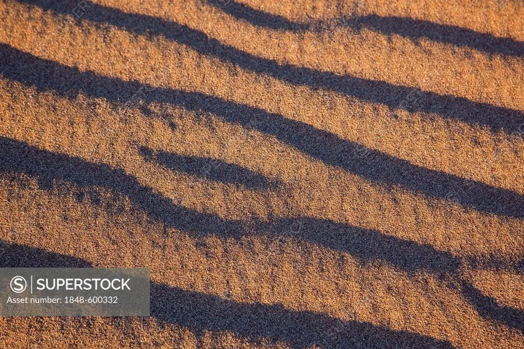 Sand on the riverbank in the Draa valley, Agdz, Morocco, Africa