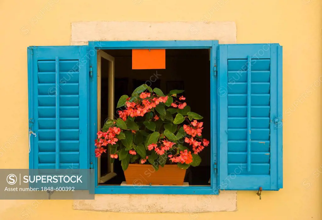 Window with a flower box, Porec, Istria, Croatia, Europe
