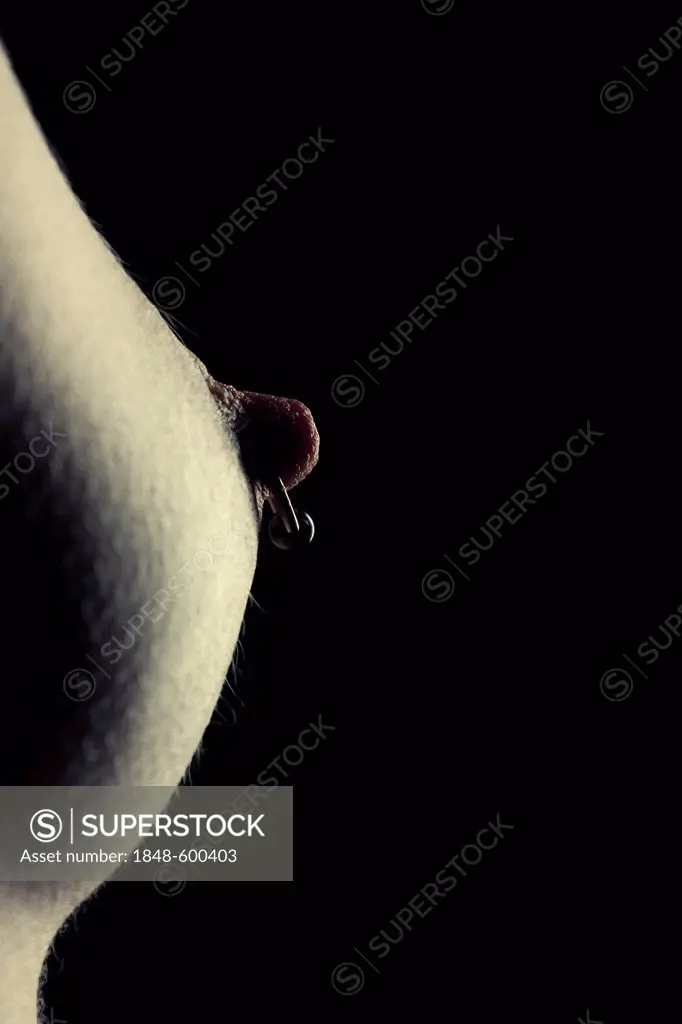 Breast with pierced nipple