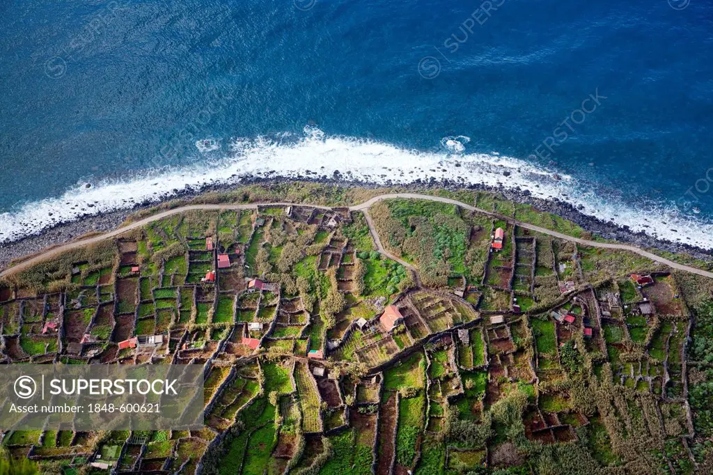 Fields on the rocky cliffs of the Atlantic coast at Achadas da Cruz, Madeira, Portugal, Europe