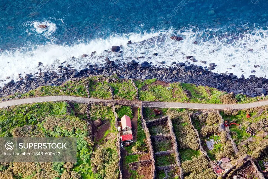 Fields on the rocky cliffs of the Atlantic coast at Achadas da Cruz, Madeira, Portugal, Europe