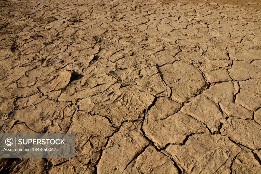 Dry cracked soil, near Erta Ale, Danakil Depression, Ethiopia, Africa