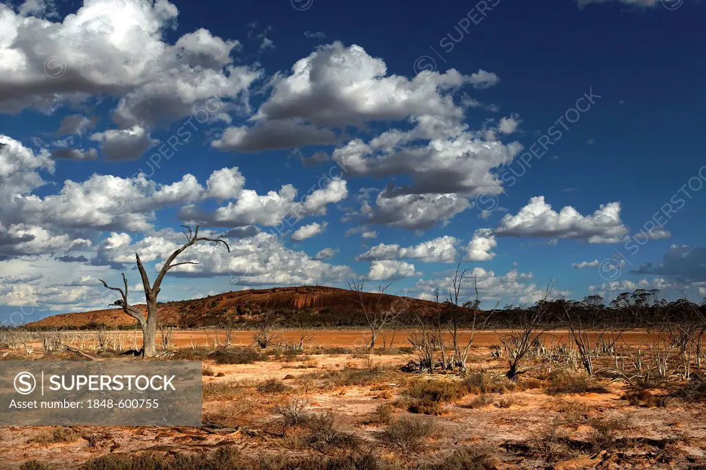 Landscape, Baladjie Nature Reserve, Western Australia, Australia