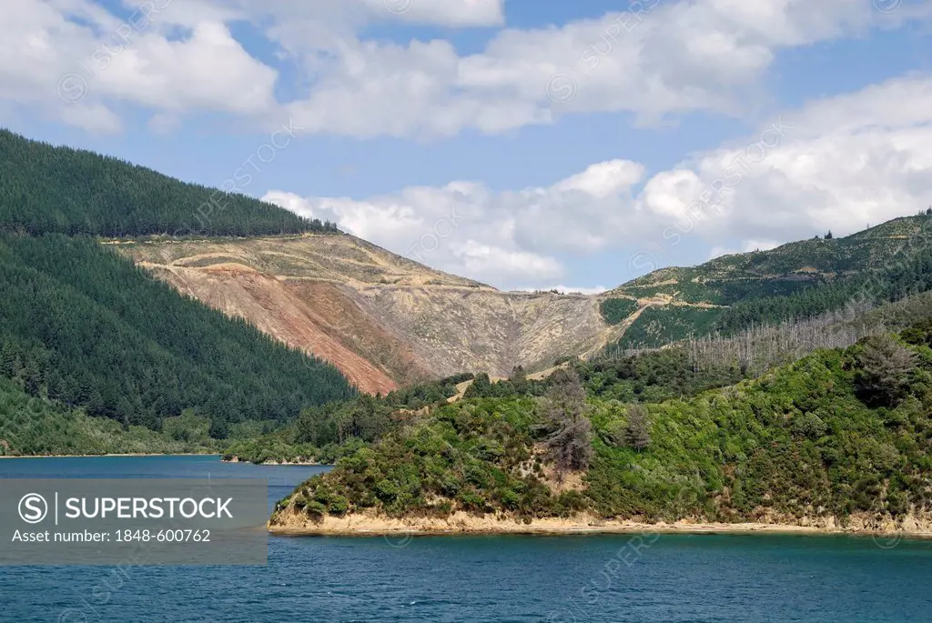 Soil erosion caused by monocultures and rigorous logging, Tory Channel, Marlborough Sounds, South Island, New Zealand
