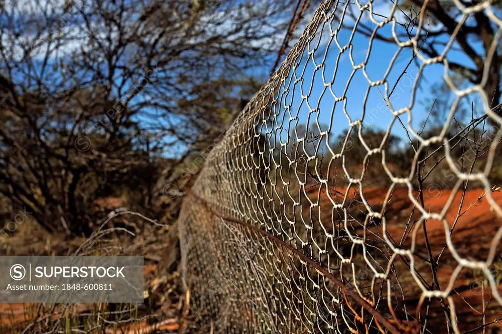 Rabbit-proof fence, Western Australia, Australia