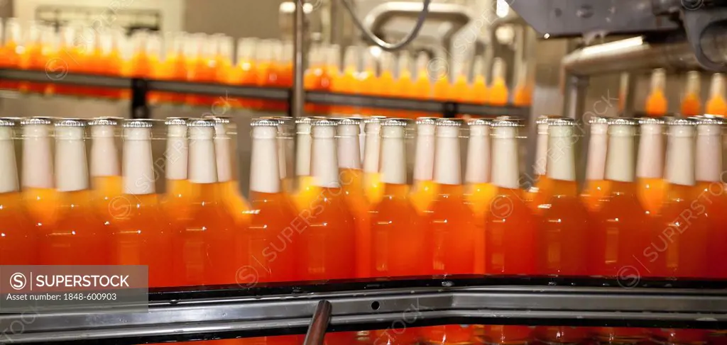 Filled beer bottles with no label on a conveyor belt, motion blur, Binding brewery, Frankfurt, Hesse, Germany, Europe