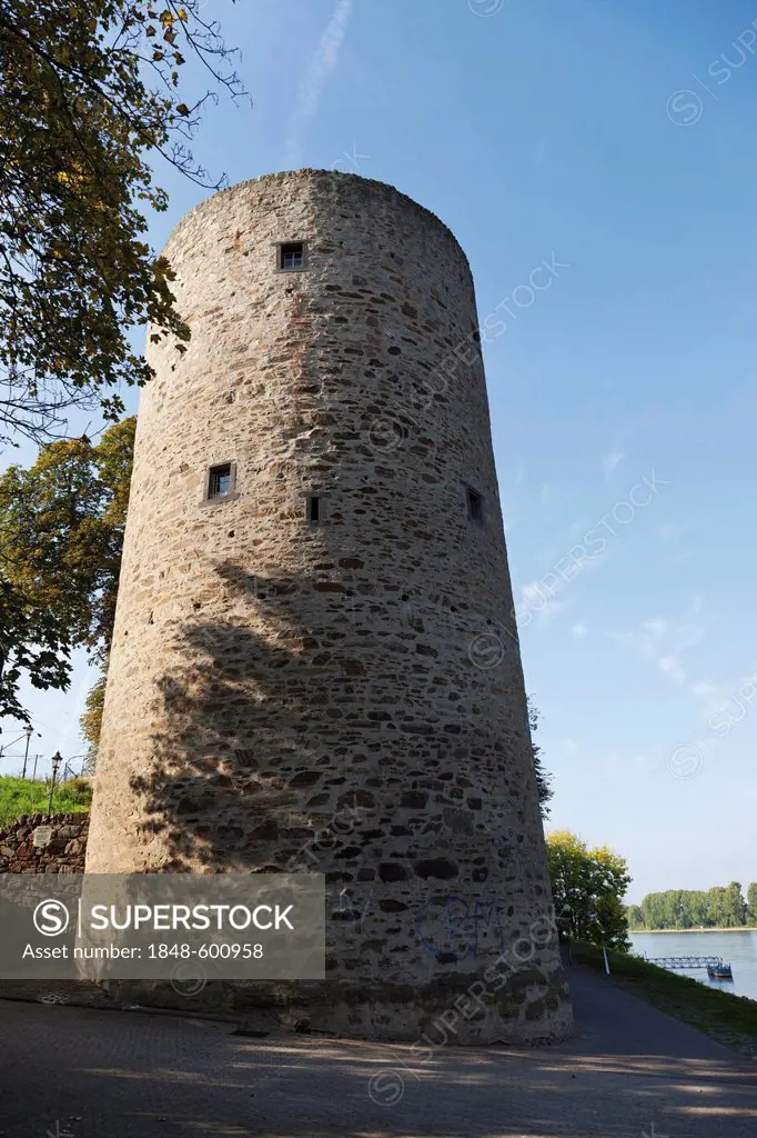 The Scharfer Turm tower, Rhens, Upper Middle Rhine Valley, Rhineland-Palatinate, Germany, Europe, UNESCO world heritage
