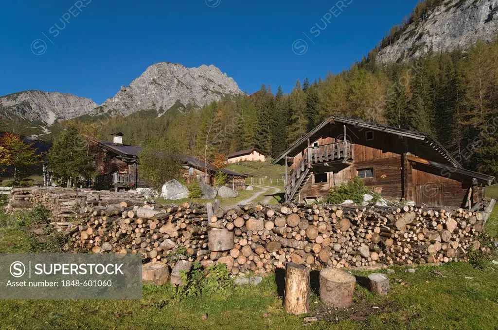 Stallen-Alm, mountain pasture, Stallental Valley, Vomp, Tyrol, Austria, Europe